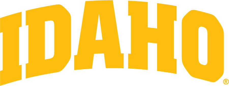 Idaho Vandals 2019-Pres Wordmark Logo v4 DIY iron on transfer (heat transfer)